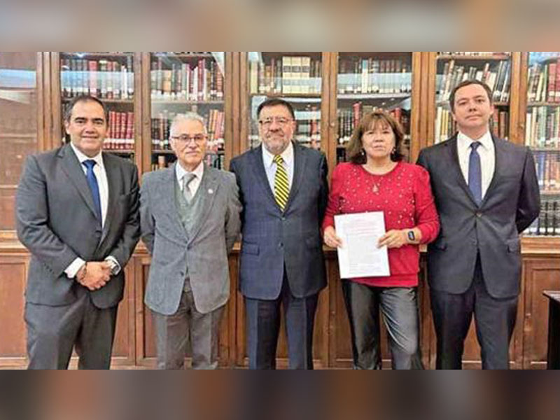 Gremios profesionales se enfrentan al SII: acusan ilegalidades e impuestos desproporcionados