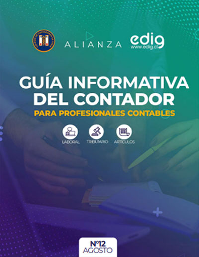 Guía Informativa del Contador / EDIG - CONTACH Nº 12