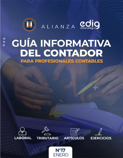 Guía Informativa del Contador / EDIG - CONTACH Nº 17